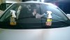 IMAG0015.jpg