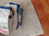 IMG_20180808_121219.jpg