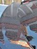 IMG_20180814_181601.jpg