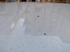 IMG_20180814_181654.jpg