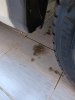 IMG_20190423_101227.jpg