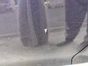 IMG_20190429_093150.jpg