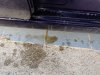 IMG_20190429_094155.jpg
