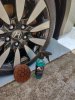 IMG_20190711_132317.jpg