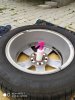 IMG_20190712_075348_1.jpg
