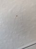 IMG_20190722_183213.jpg