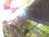 IMG_20190801_112144.jpg