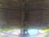 IMG_20190801_114356.jpg