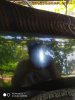 IMG_20190801_121700.jpg