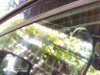 IMG_20190801_112223.jpg