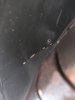 IMG_20190728_110535.jpg