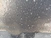 IMG_20190802_113218.jpg