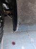 IMG_20190802_114214.jpg