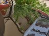 IMG_20190804_144316.jpg