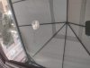 IMG_20190815_175550.jpg