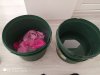 IMG_20190918_115053.jpg