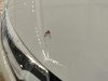 IMG_20200224_173755.jpg