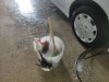 IMG_20200422_163855.jpg