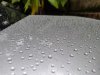 IMG_20200422_175051_Bokeh.jpg