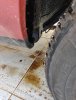 IMG_20181025_105250.jpg