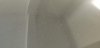 IMG_20200719_101007.jpg