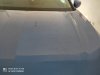 IMG_20200817_171511.jpg
