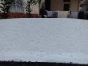 IMG_20181202_172239.jpg