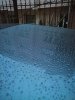 IMG_20190206_074717.jpg