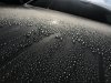 948B19F8-9F2B-413C-B331-F5A170A60337.jpeg