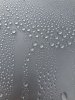 30D3124F-4A60-43DD-A022-F66FEE0B72A1.jpeg