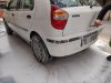 IMG_20190320_133135.jpg