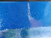 IMG_20190412_102337.jpg