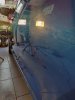 IMG_20190414_101125.jpg